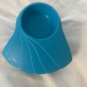 Tupperware Measuring Cup Set-Blue